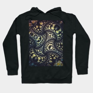 Echo Soil IV. Abstract Art Hoodie